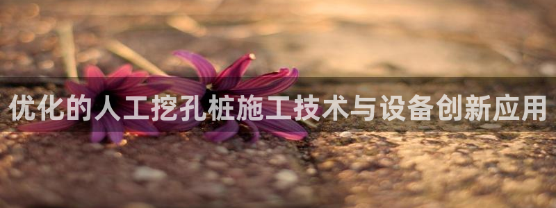 球盟会用的客服聊天是哪个软件