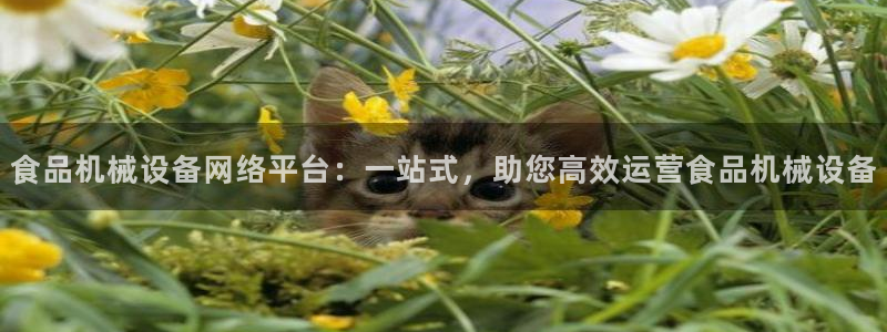 球盟会官方下载