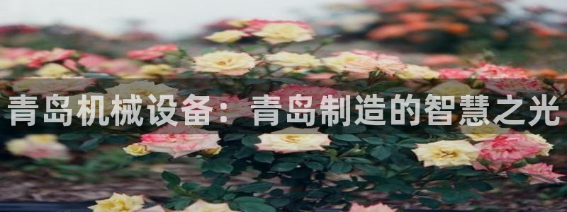 球盟会中国官方网站