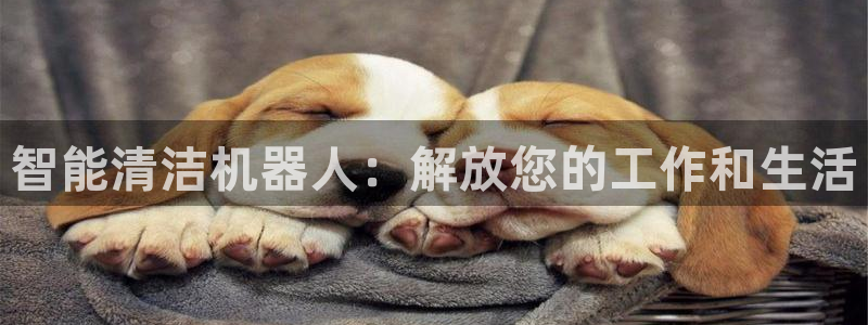 球盟会中国网页登录