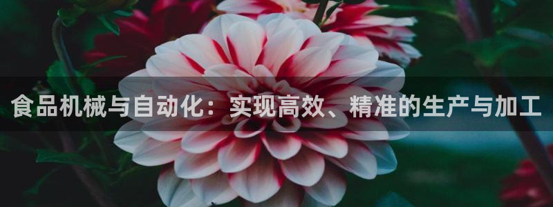 球盟会黑款吗知乎小说