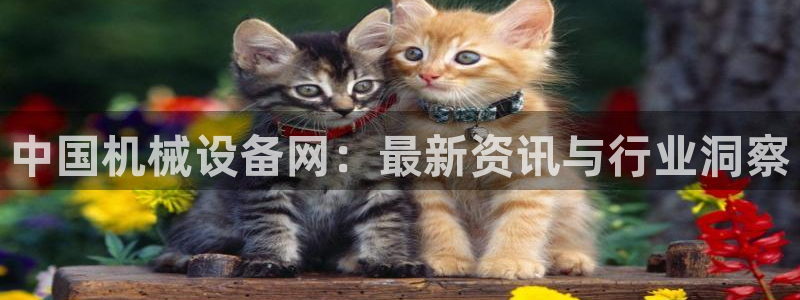 球盟会出款黑了