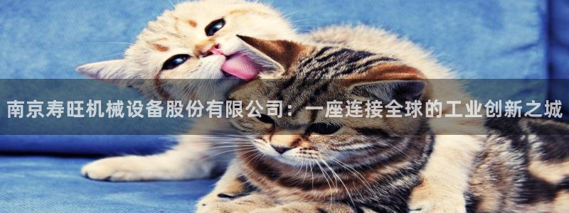 球盟会头号玩家是谁