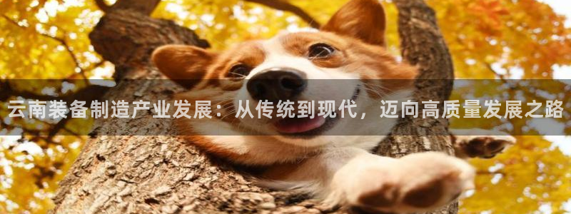 球盟会网页登录app下载地址