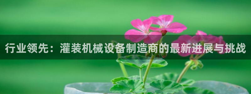 球盟会官方入口