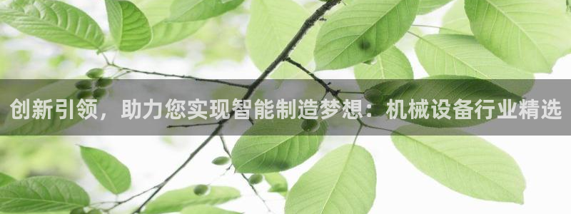 球盟会最新网