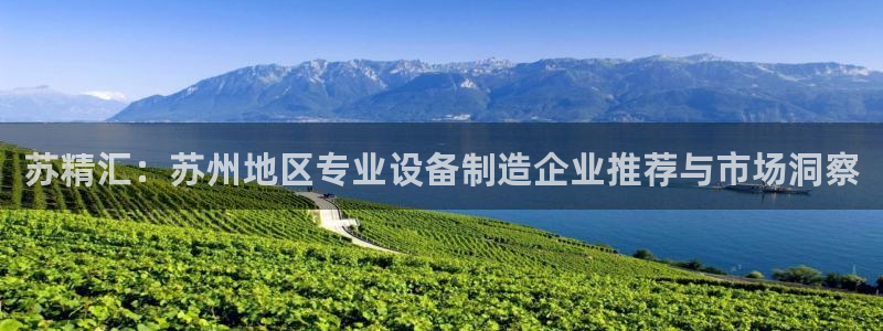 球盟会官方下载