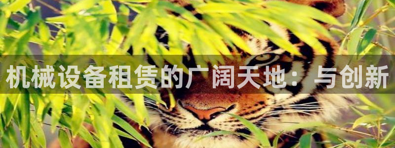 球盟会官网网页版