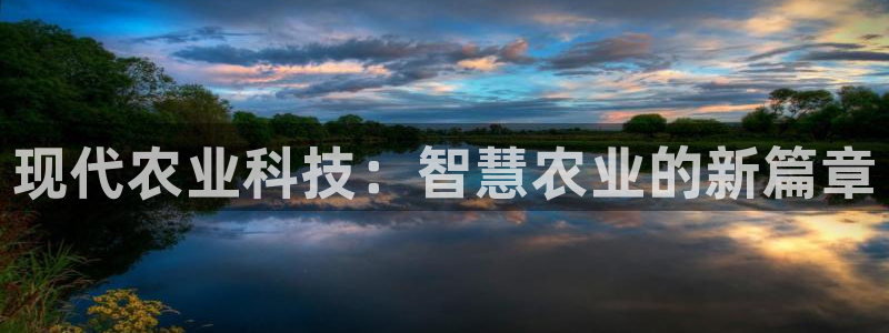 球盟会里面有打牌的嘛