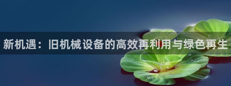 球盟会网址多少